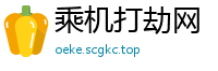 乘机打劫网